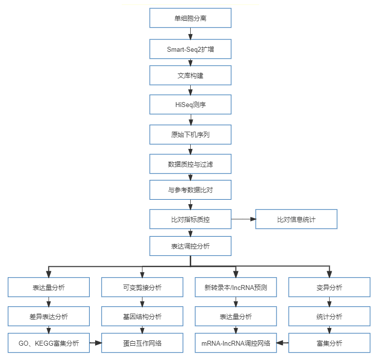 29、单细胞转录组测序.png