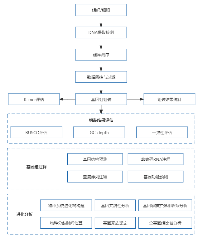 4、动植物基因组de novo.png